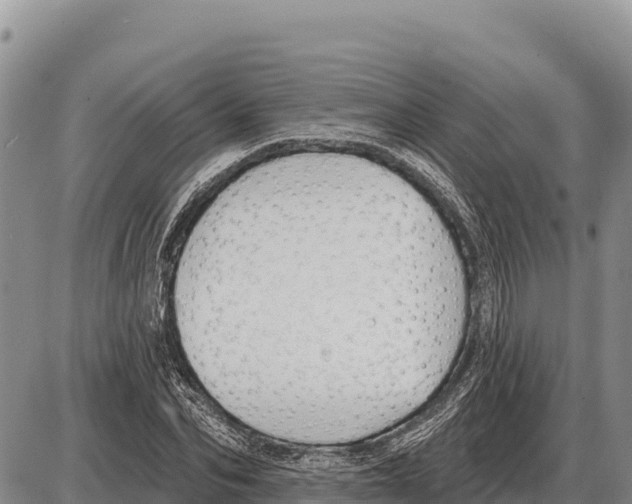 X0000086300974200704271823