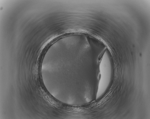 X0000086300975200704271823