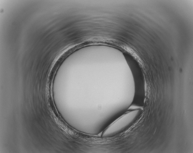 X0000086300976200704271823