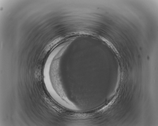 X0000086300977200704271823