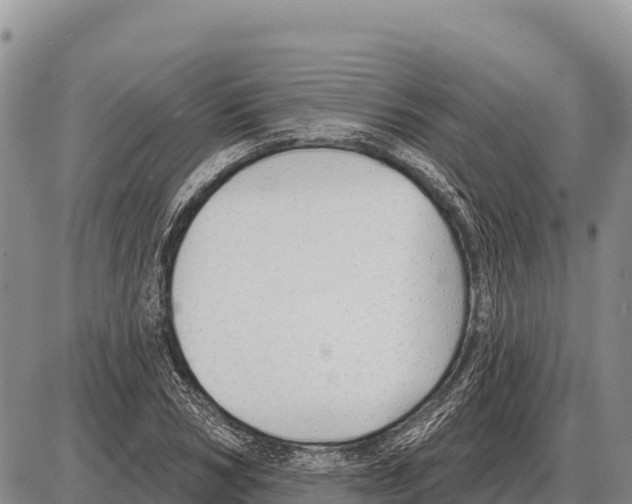 X0000086300978200704271823