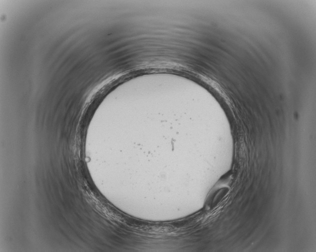 X0000086300979200704271823