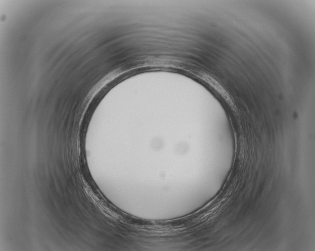 X0000086300980200704271823