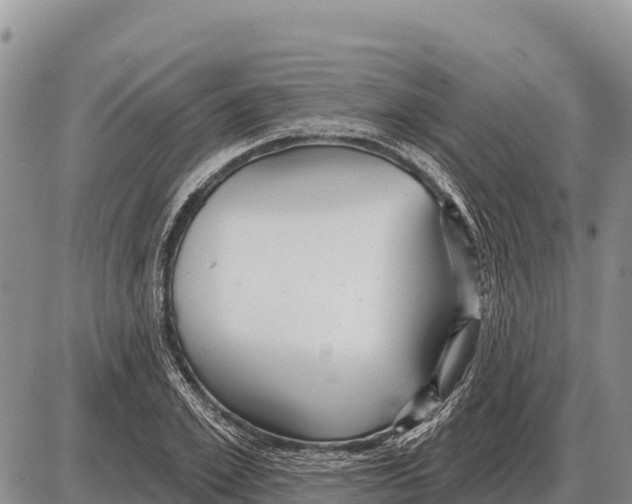 X0000086300981200704271823