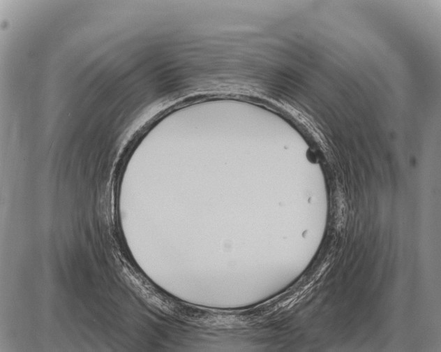 X0000086300982200704271823