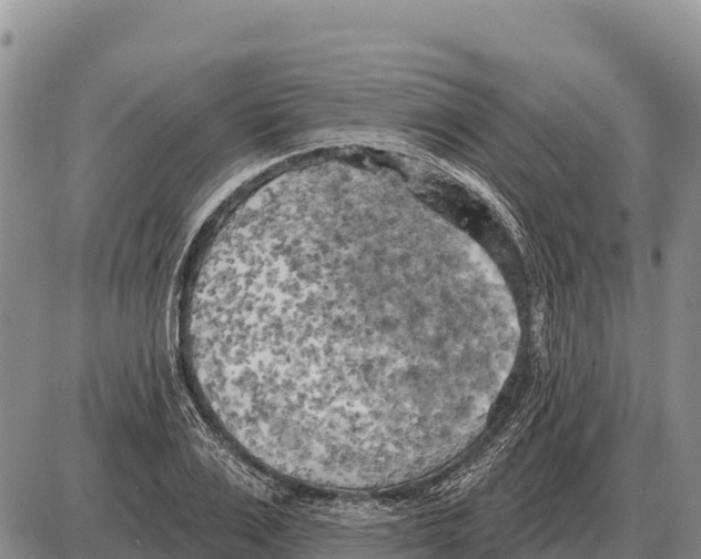 X0000086300983200704271823