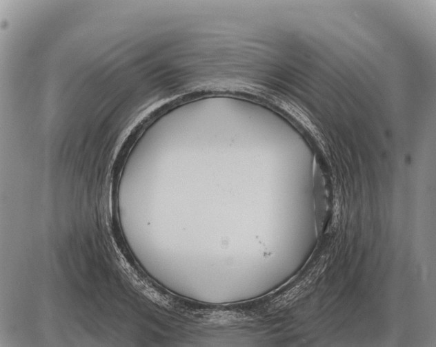 X0000086300984200704271823