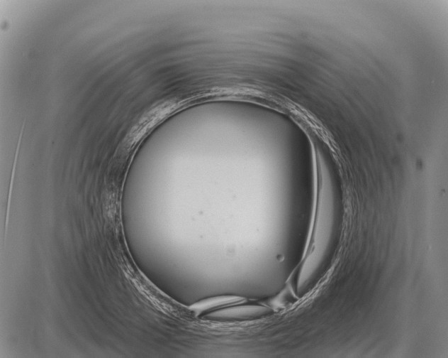 X0000086300985200704271822