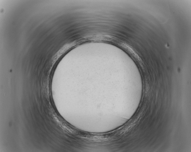 X0000086300986200704271822