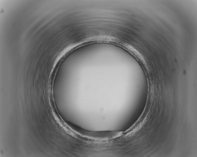 X0000086300989200704271822