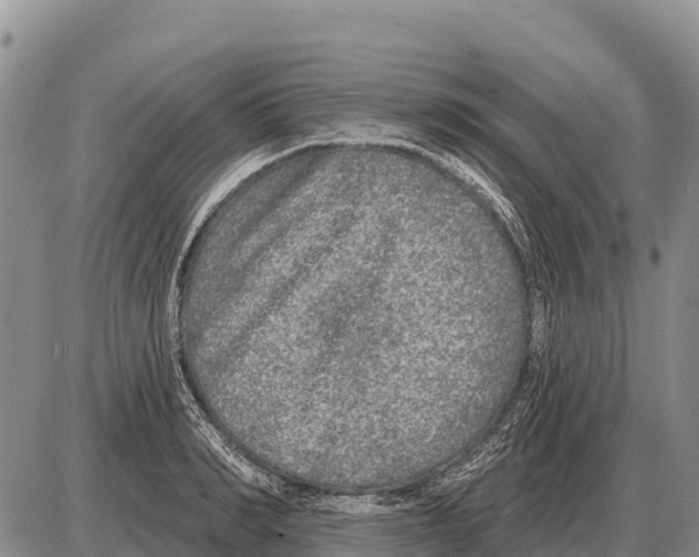 X0000086300990200704271822