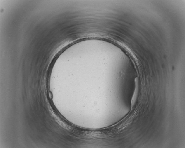 X0000086300991200704271822