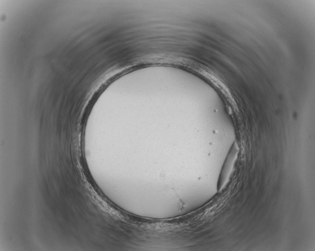 X0000086300992200704271822