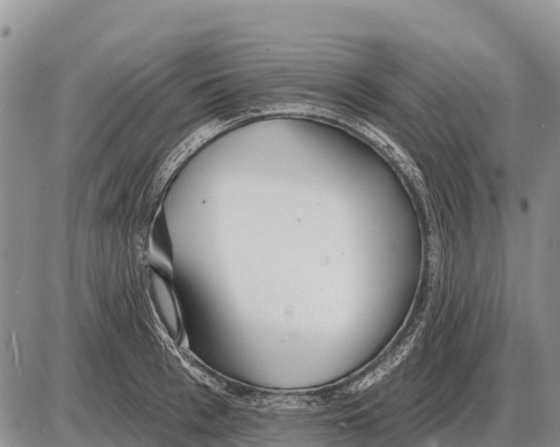 X0000086300993200704271822