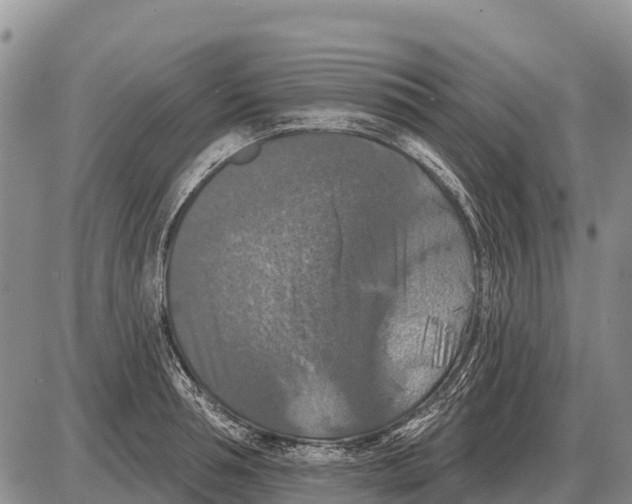 X0000086300994200704271822