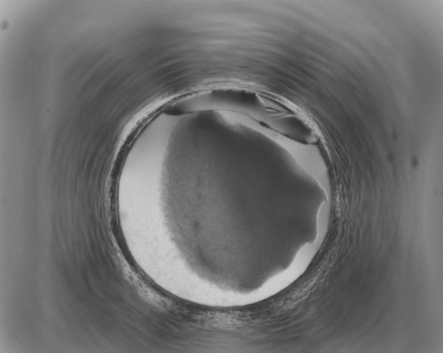 X0000086300995200704271822