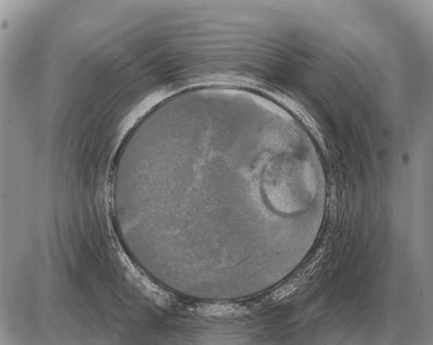 X0000086300998200704271822