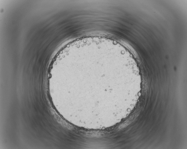 X0000086301000200704271822