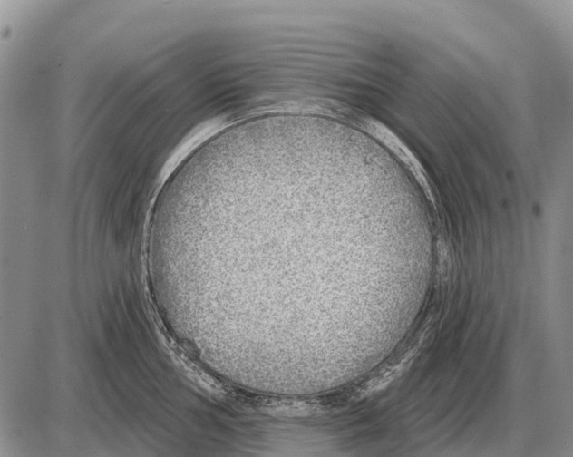 X0000086301002200704271822