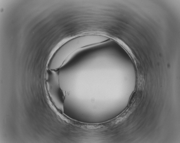 X0000086301005200704271822