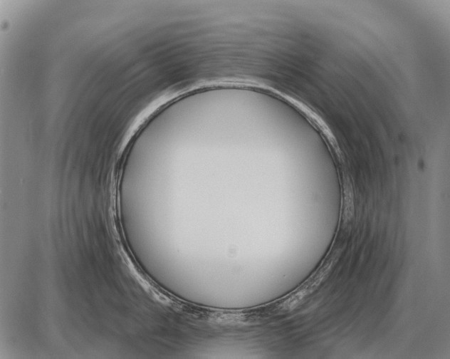 X0000086301006200704271822