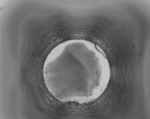 X0000086301009200704271821