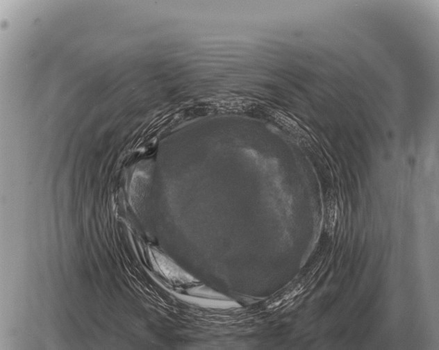 X0000086301010200704271821