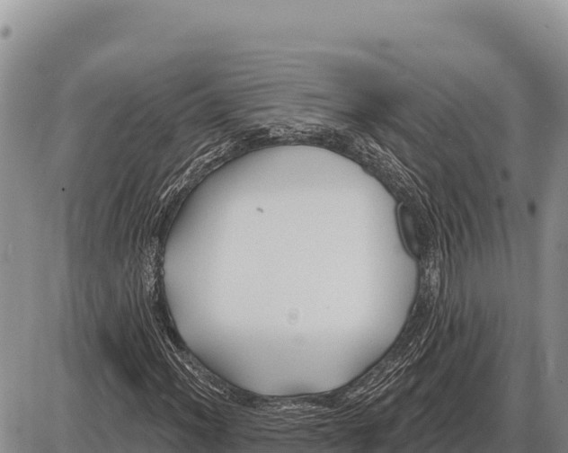 X0000086301012200704271821