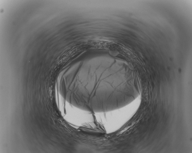 X0000086301013200704271821