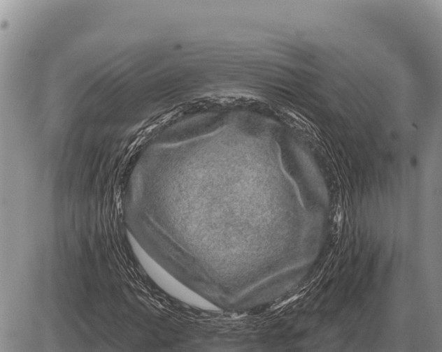 X0000086301014200704271821