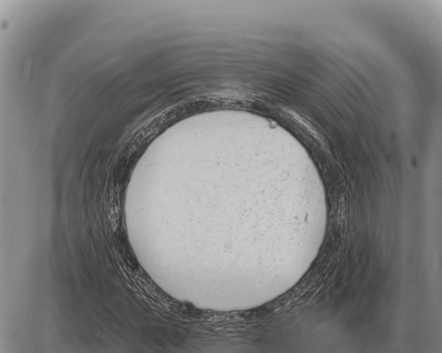 X0000086301015200704271821