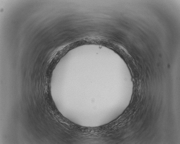 X0000086301016200704271821