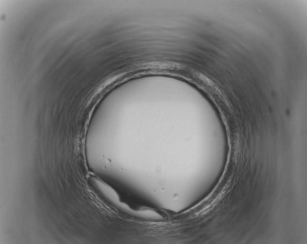 X0000086301017200704271821