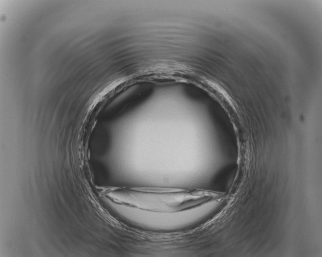 X0000086301018200704271821