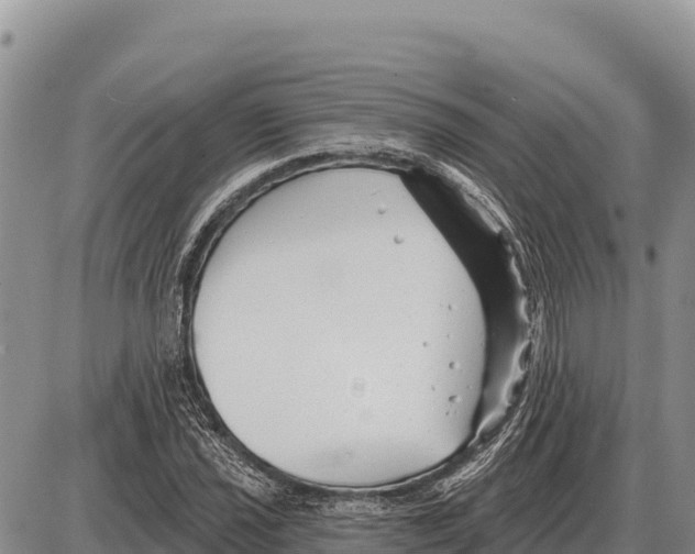 X0000086301021200704271822