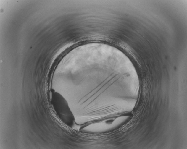 X0000086301024200704271822