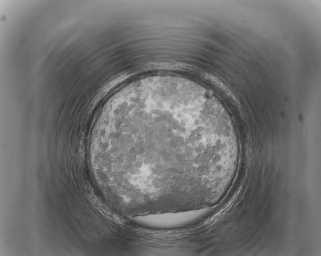 X0000086301025200704271822