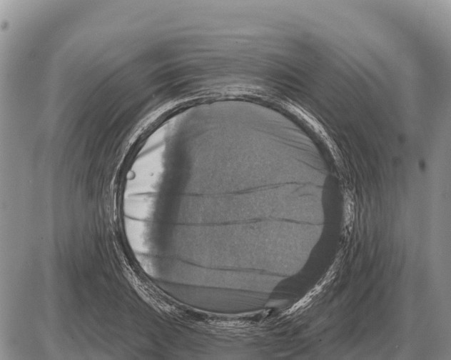 X0000086301031200704271822