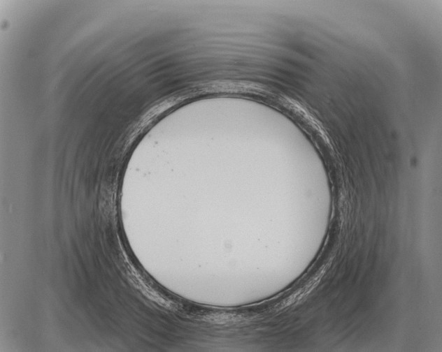 X0000086301033200704271822