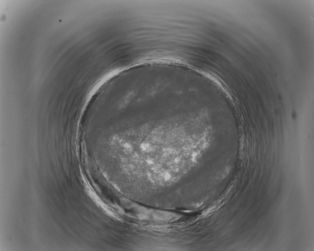 X0000086301038200704271822