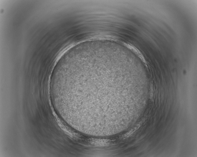 X0000086301039200704271822