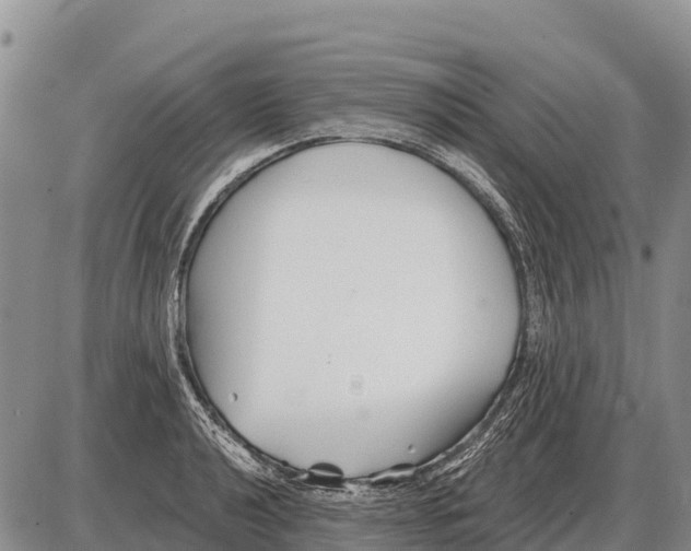 X0000086301040200704271822