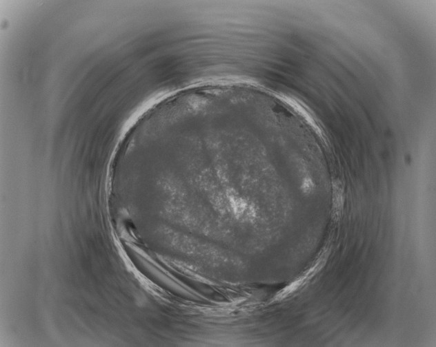 X0000086301046200704271822