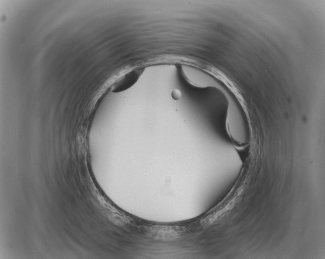 X0000086301049200704271822