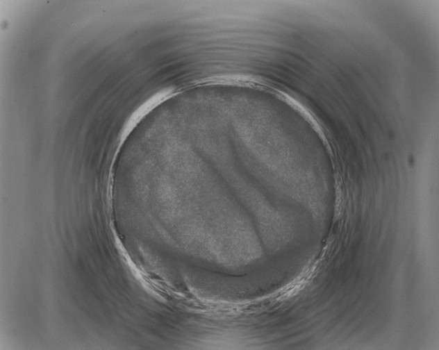 X0000086301050200704271822