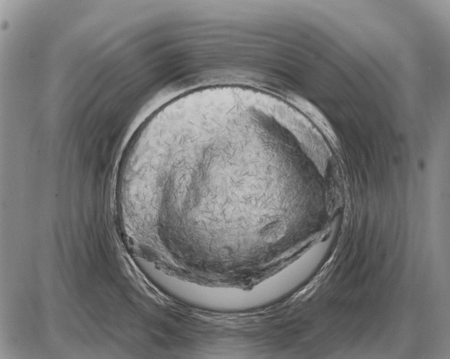 X0000086301052200704271822