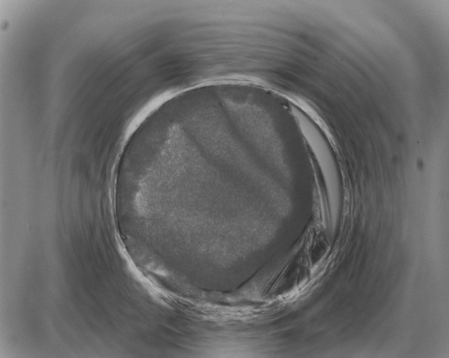 X0000086301054200704271822