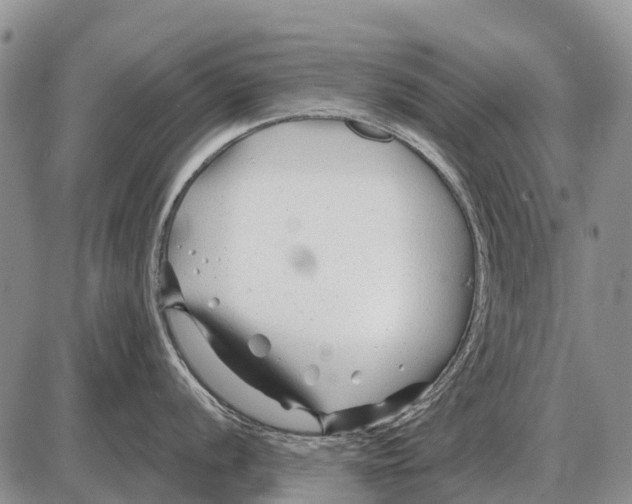 X0000086301056200704271822