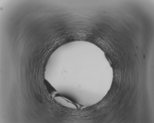 X0000086301057200704271821