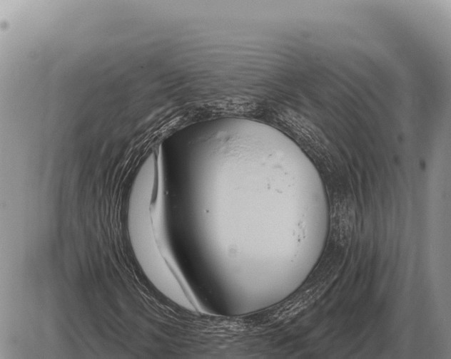 X0000086301058200704271821